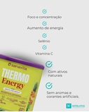 SANAVITA THERMO ENERGY ABACAXI C/HORTELA LATA 300G